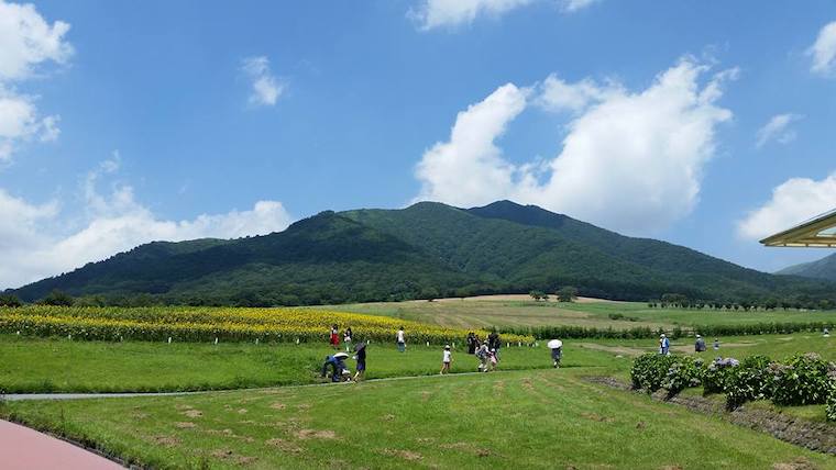 蒜山地域は岡山県下有数の観光地で、毎年多くの観光客が訪れます