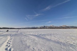 蒜山の雪